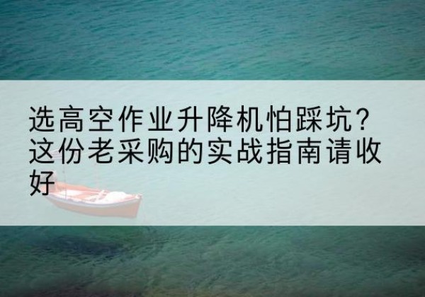 武功高空作业升降机厂家推荐-选高空作业升降机怕踩坑？这份老采购的实战指南请收好