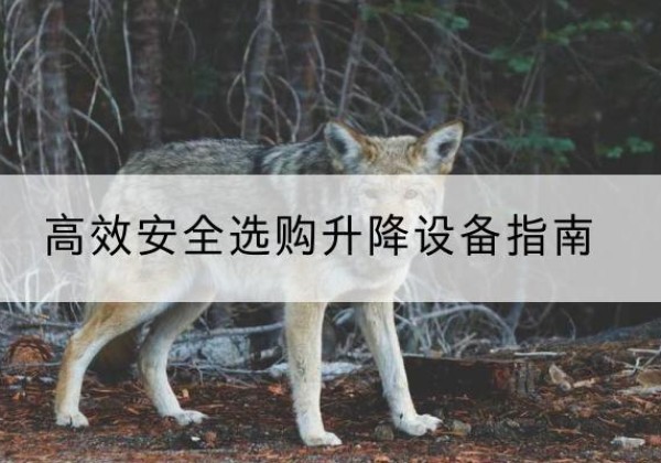 武功升降货梯厂家推荐-*安全选购升降设备指南