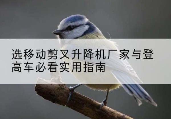 武功电动升降机厂家-选移动剪叉升降机厂家与登高车必看实用指南